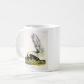 Hooded Skunk oder Großschwanzkunk aus Audubon Kaffeetasse (Vorderseite Links)