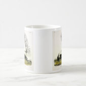 Hooded Skunk oder Großschwanzkunk aus Audubon Kaffeetasse (Mittel)