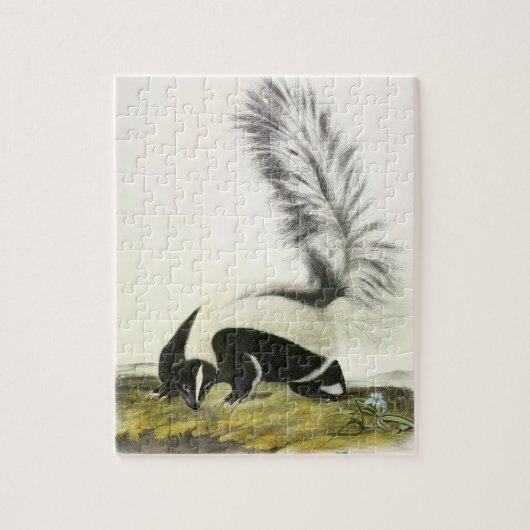 Hooded Skunk oder Großschwanzkunk aus Audubon Puzzle (Vertikal)