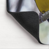 Hooded Warbler Mousepad (Ecke)