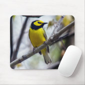 Hooded Warbler Mousepad (Mit Mouse)