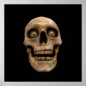 Hoodoo Skull Poster (Vorne)