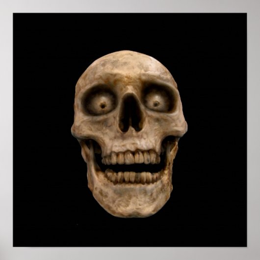 Hoodoo Skull Poster (Vorne)