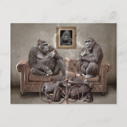 Hookah Rauchen Apes Post Card Postkarte (Vorderseite)