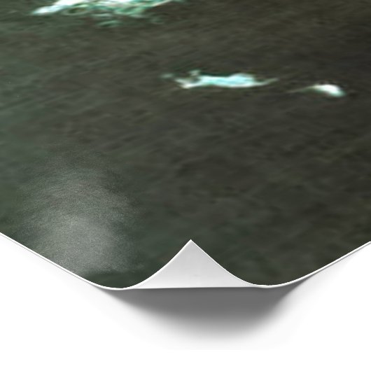 Hooked Rainbow Trout Jumping Poster (Ecke)