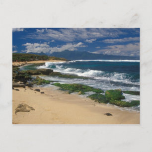 Hookipa Beach Maui Hawaii Postkarte