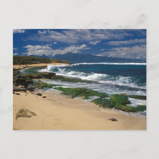 Hookipa Beach Maui Hawaii Postkarte (Vorderseite)
