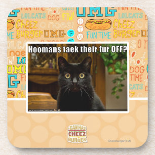 Hoomans Taek dort Pelz WEG? Getränkeuntersetzer