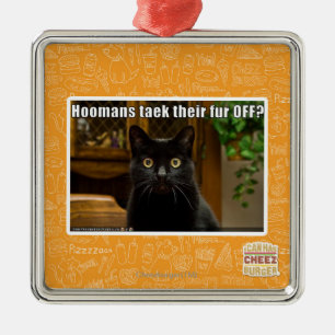 Hoomans Taek dort Pelz WEG? Ornament Aus Metall