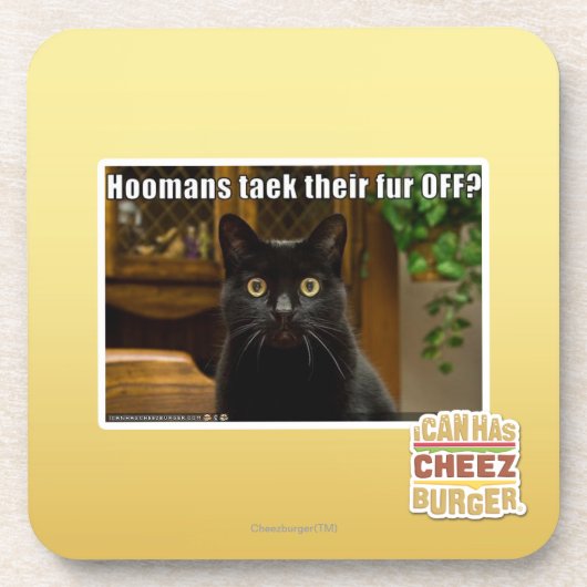 Hoomans Taek dort Pelz WEG? Untersetzer (Vorderseite)