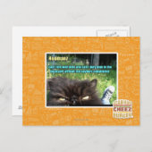 Hoomanz Postkarte (Vorne/Hinten)