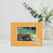 Hoomanz Postkarte (Stehend Vorderseite)