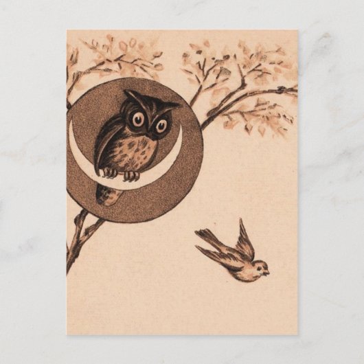 Hoooot! Postkarte (Vorderseite)