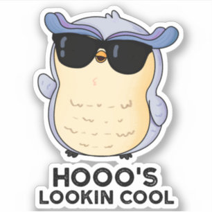 Hooos Cooler Funny Owl Pun Aufkleber