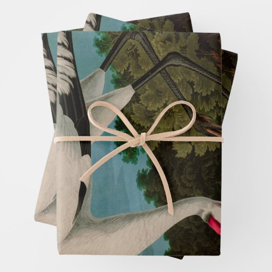 Hooping Crane Birds of America Audubon Print Geschenkpapier Set (Beispiel)