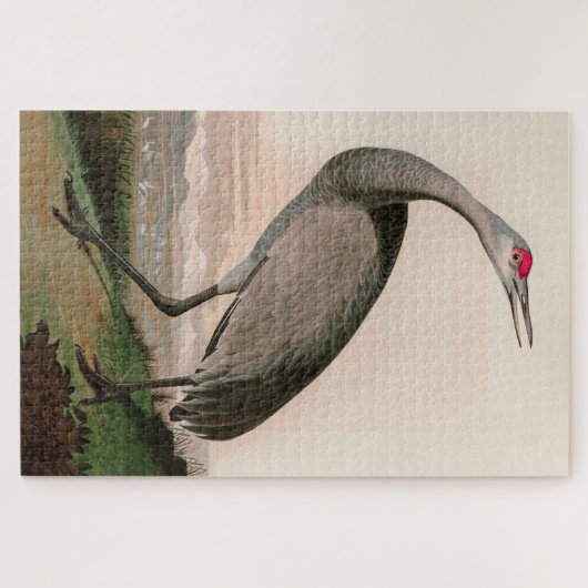 Hooping Crane Birds of America Audubon Print Puzzle (Horizontal)