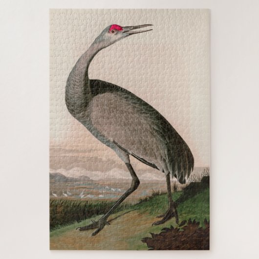 Hooping Crane Birds of America Audubon Print Puzzle (Vertikal)