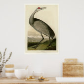 Hooping Crane Poster (Küche)