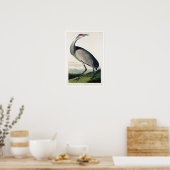 Hooping Crane von Audubon Poster (Küche)
