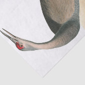 Hooping Crane von John James Audubon Seidenpapier (Ausschnitt)