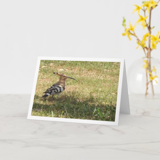 Hoopoe Bird auf Gras Karte (Gelbe Blume)
