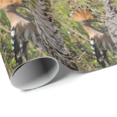 Hoopoe Fütternd Nestling Geschenkpapier (Rolleneckpunkt)