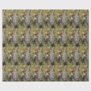 Hoopoe Fütternd Nestling Geschenkpapier