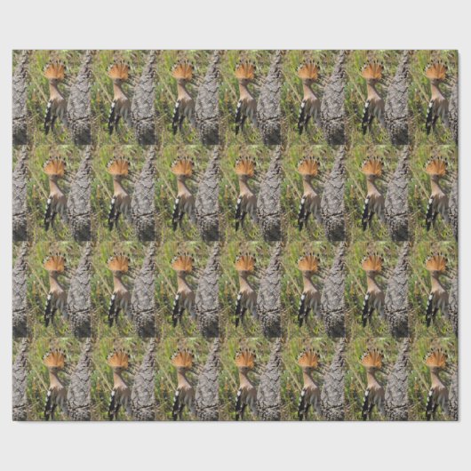 Hoopoe Fütternd Nestling Geschenkpapier (Saum)