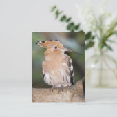 Hoopoe Postcard Postkarte (Stehend Vorderseite)