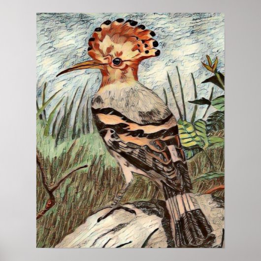 Hoopoe Poster (Vorne)