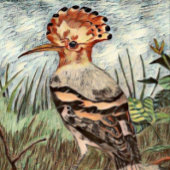 Hoopoe Poster