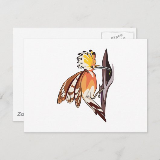 Hoopoe Postkarte (Vorne/Hinten)