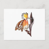 Hoopoe Postkarte (Vorderseite)