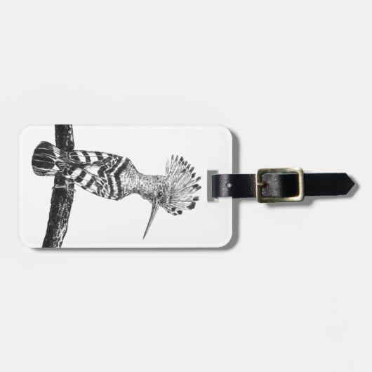 Hoopoe zeichnend gepäckanhänger (Vorderseite horizontal)