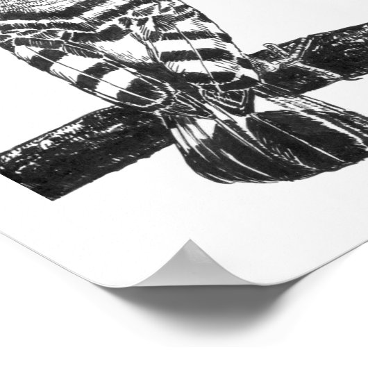 Hoopoe zeichnend poster (Ecke)