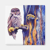 Hoo's Look'n Magnet (Vorne)