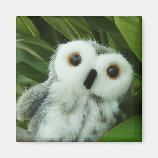 Hoot Hoot! Magnet (Vorne)