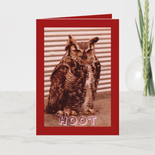 Hoot Owl, Valentine's Card Feiertagskarte (Vorderseite)