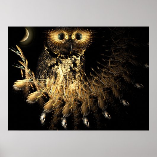 Hootie Owls Nest Poster (Vorne)