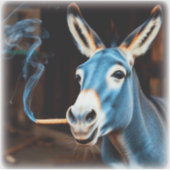 HOOTING DONKEY AUFKLEBER (Vorderseite)