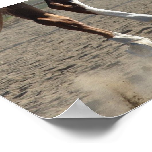 Hooves in Motion Poster (Ecke)