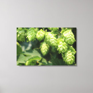 Hop Art: Wilde Hopfen für die Zuhause des Bierlieb Leinwanddruck