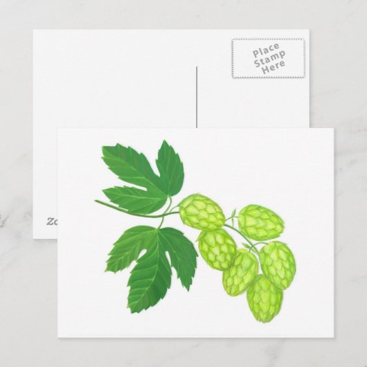 Hop-Blume Postkarte (Vorne/Hinten)