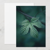 Hop Humulus Leaf Natur Foto Feiertagskarte (Vorne/Hinten)