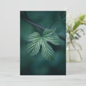 Hop Humulus Leaf Natur Foto Feiertagskarte (Stehend Vorderseite)