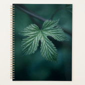 Hop Humulus Leaf Nature Foto Planer (Vorderseite)
