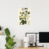 Hop Vine, from 'The Young Landsman', published Vie Poster (Heimbüro)