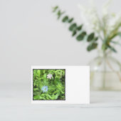 Hope Euro Visitenkarte (Stehend Vorderseite)