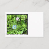 Hope Euro Visitenkarte (Vorderseite)