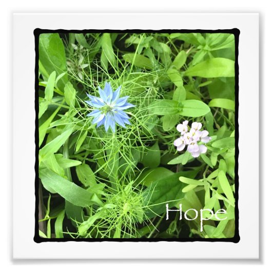 Hope Foto Print (Vorne)